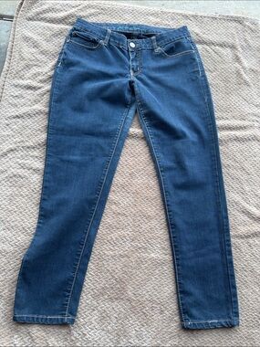 Ariya Dark Blue Skinny Jeans